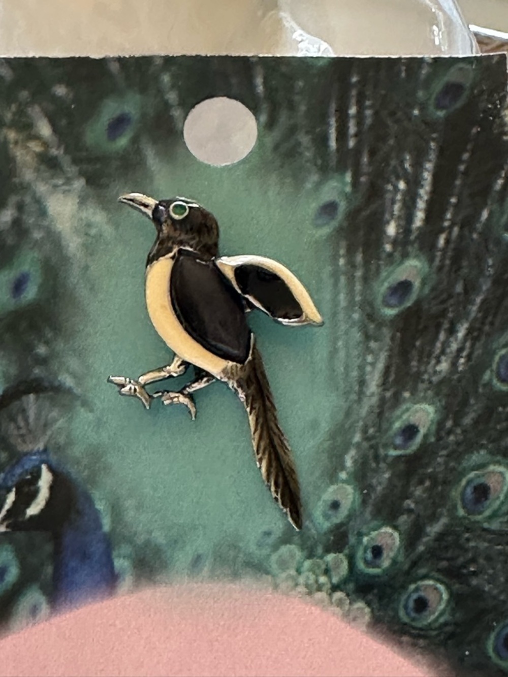 Thoughtful Little Angel Magpie Bird‎ Brooch/Pin NEW